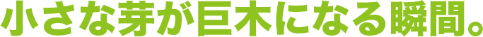 小さな芽が巨木になる瞬間。